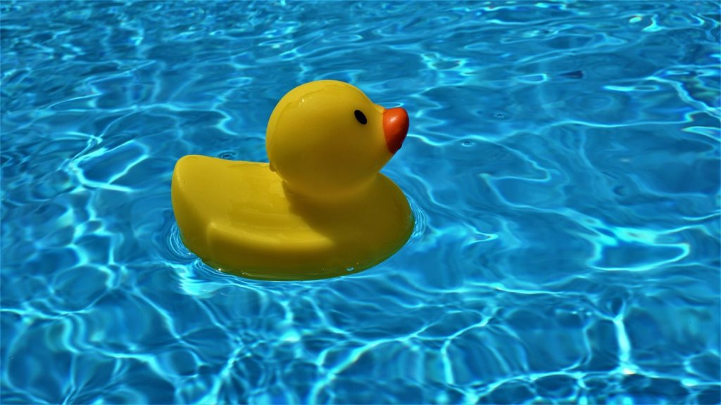 pool, background, squeaky duck-5173761.jpg